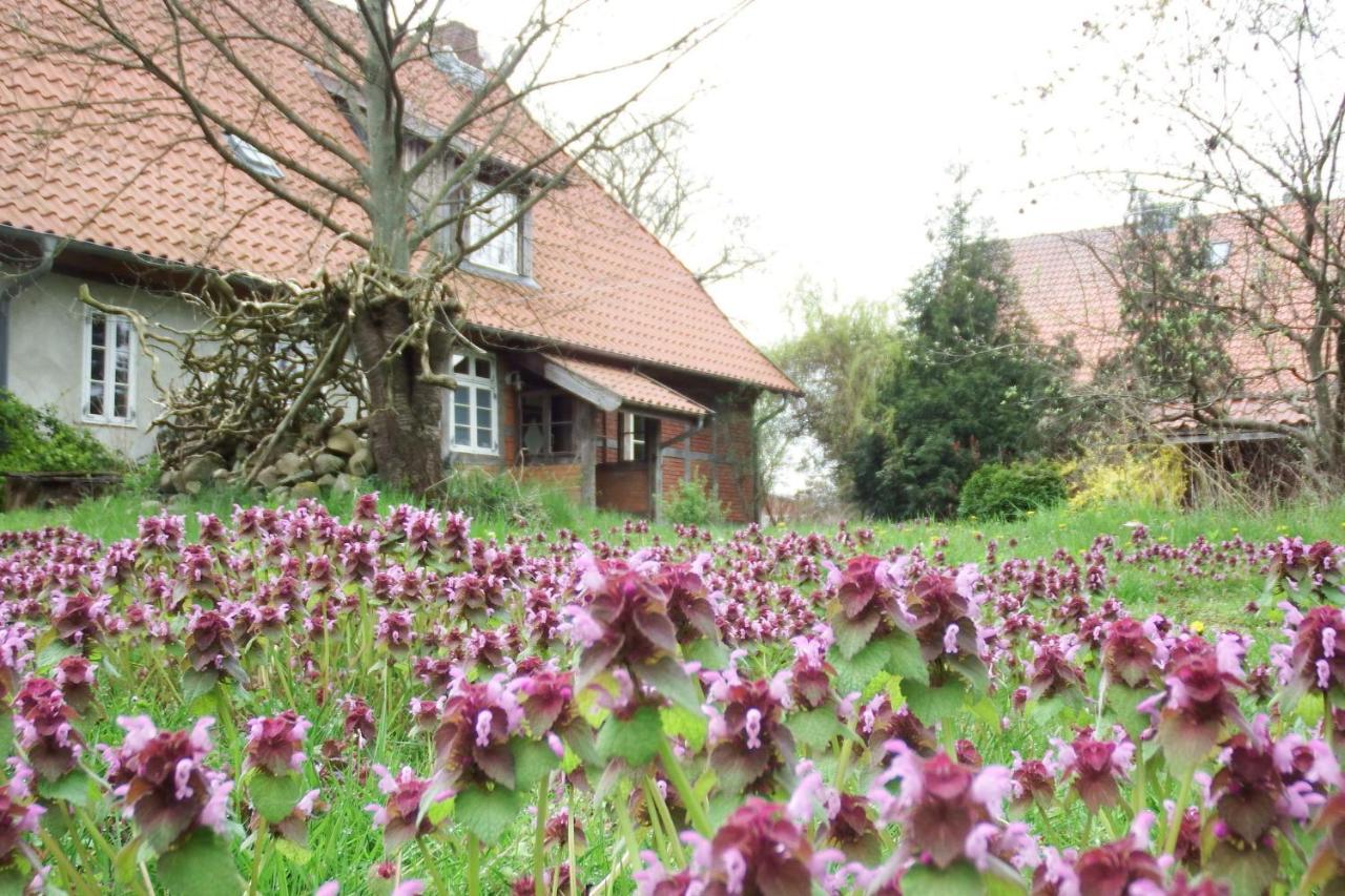 Ferienhof Rauchhaus Karft Exterior photo